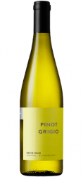 Erste and Neue - Pinot Grigio (750ml) (750ml)