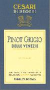 Due Torri - Pinot Grigio 0 (750ml)
