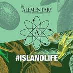 The Alementary Brewing Co - #IslandLife (415)