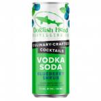 Dogfish Head - Blueberry Shrub Vodka Soda 0 (414)