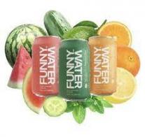 Funny Water - Variety Pack (6 pack 12oz cans) (6 pack 12oz cans)